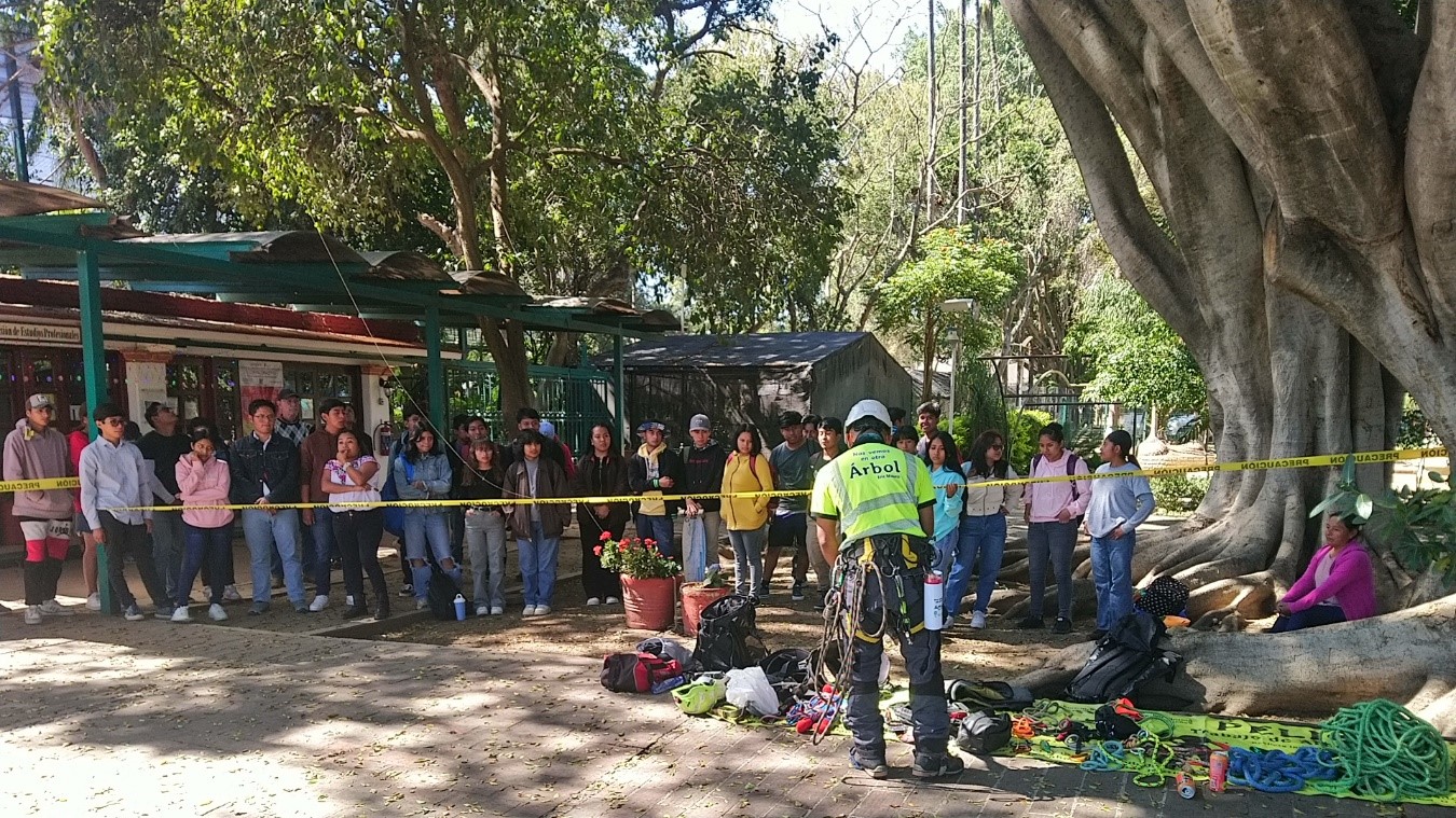 Demostración de trepa de arboles.